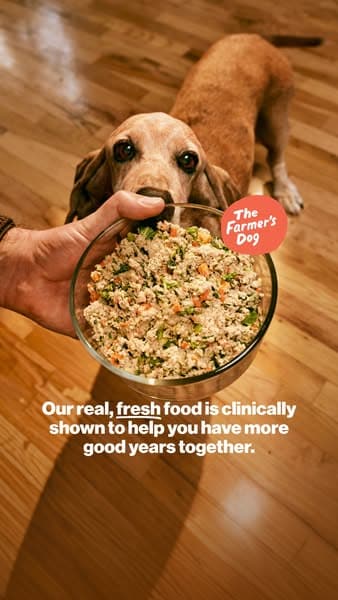 The Farmer's Dog ad, a bowl of fresh dog food held out to a waiting dog